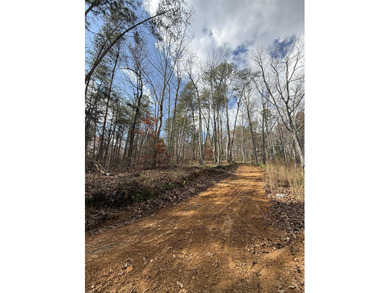 Ocoee River Lot For Sale in Benton Tennessee