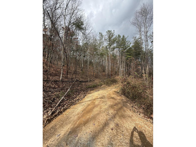 Ocoee River Lot For Sale in Benton Tennessee