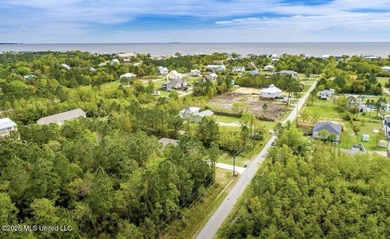 Build your dream home just minutes from the Mississippi Gulf - photo 2