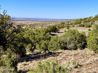 Concho Lake Lot For Sale in Concho Arizona