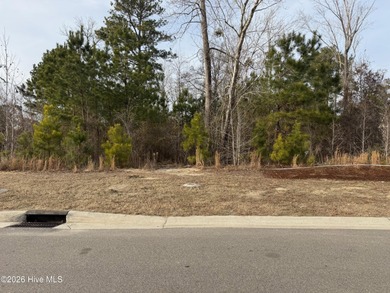 (private lake, pond, coastal) Lot For Sale in Leland North Carolina