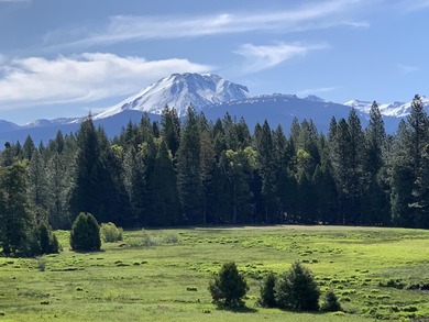 (private lake, pond, coastal) Home For Sale in Shingletown California