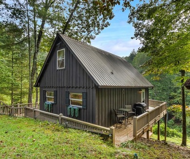 Lake Hiwassee Home For Sale in Murphy North Carolina