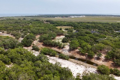 Beautiful 3.38 acreage with trees sets back off of Wishert Rd - photo 7