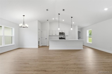 MOVE-IN READY | NEW CONSTRUCTION | OPEN FLOOR PLAN This - photo 9