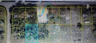 Lehigh Acres Area Lot For Sale in Lehigh Acres Florida