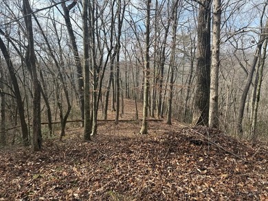 Valley River Acreage For Sale in Marble North Carolina