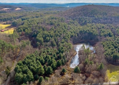 Lake Acreage For Sale in Old Chatham, New York