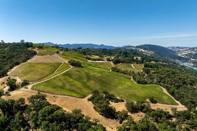 The 120 acre Pritchett Peaks Vineyard is nestled in the majestic - photo 3
