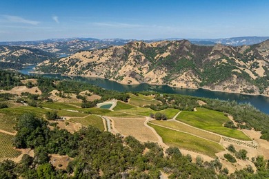 The 120 acre Pritchett Peaks Vineyard is nestled in the majestic - photo 5