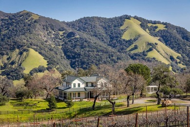 The 120 acre Pritchett Peaks Vineyard is nestled in the majestic - photo 6
