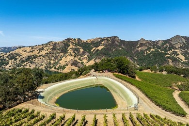 The 120 acre Pritchett Peaks Vineyard is nestled in the majestic - photo 8