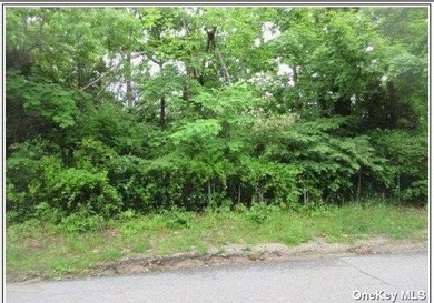 Prime land in Patchogue. Land is behind #85 Barton - photo 1