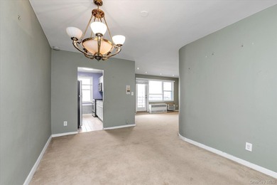 Subject to terms and conditions of an offering plan. Spacious - photo 12