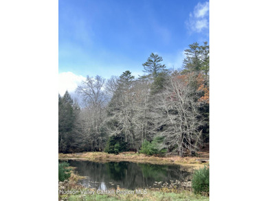 (private lake, pond, coastal) Acreage For Sale in Accord New York