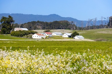 The 277-acre D&H Stornetta Ranch in Point Arena stands as a rare - photo 1