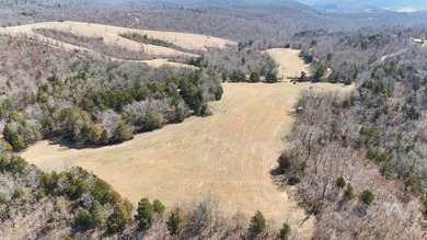 Premier Buffalo National River Area legacy hunting, recreational - photo 2