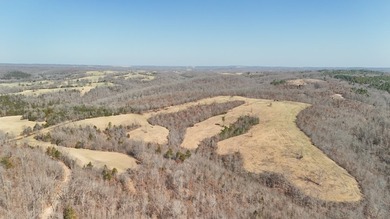 Premier Buffalo National River Area legacy hunting, recreational - photo 3