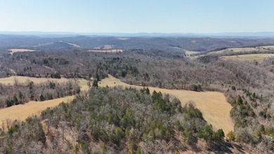 Premier Buffalo National River Area legacy hunting, recreational - photo 4