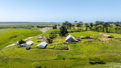The 277-acre D&H Stornetta Ranch in Point Arena stands as a rare - photo 5