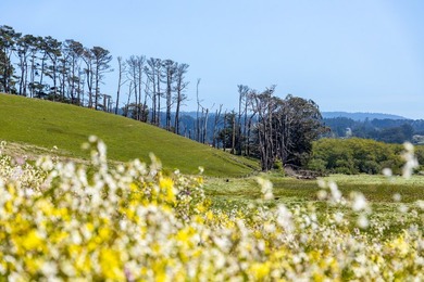 The 277-acre D&H Stornetta Ranch in Point Arena stands as a rare - photo 10