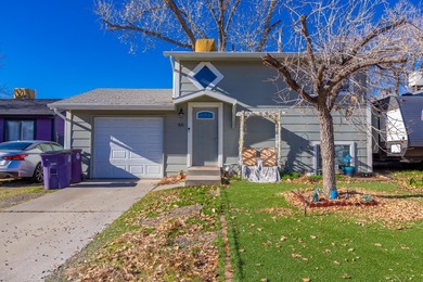 Colorado River Home Sale Pending in Clifton Colorado