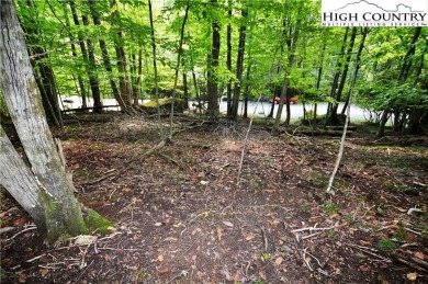 (private lake, pond, coastal) Lot For Sale in Beech Mountain North Carolina