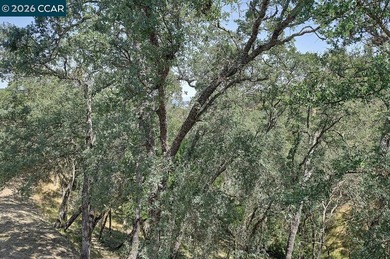 This level-in home is blessed by beautiful natural panoramic - photo 16