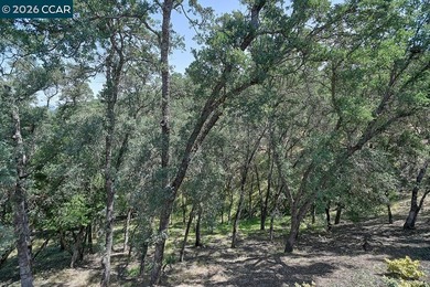 This level-in home is blessed by beautiful natural panoramic - photo 19