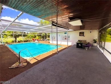 Welcome to 196 E Mariana Ave in North Fort Myers, a truly unique - photo 22