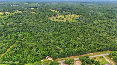 Beautiful opportunity to own up to 10 wooded acres with the - photo 3