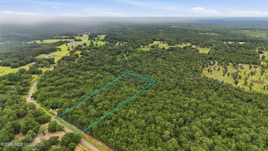 Beautiful opportunity to own up to 10 wooded acres with the - photo 7