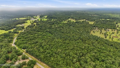 Beautiful opportunity to own up to 10 wooded acres with the - photo 8