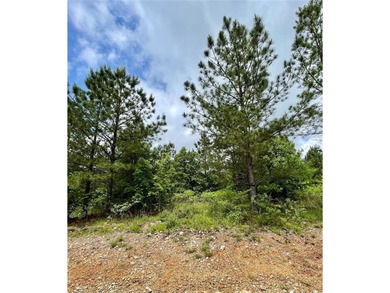 Broken Bow Lake Lot For Sale in Broken Bow Oklahoma
