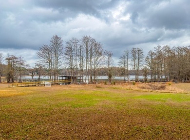 Private Retreat in the heart of Beautiful Lake Douglas. Nestled - photo 43