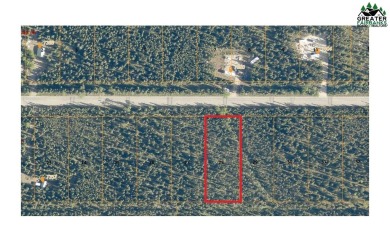 Lake Lot For Sale in Salcha, Alaska