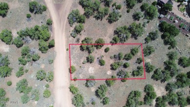 Lake Lot For Sale in Show Low, Arizona