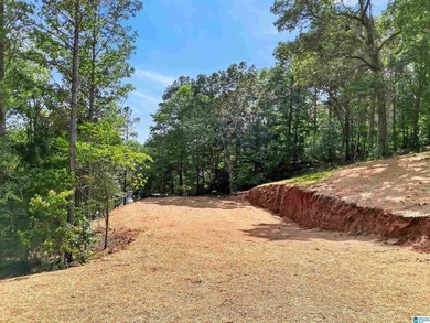 Discover your dream property on this stunning 2.16-acre lot with - photo 7