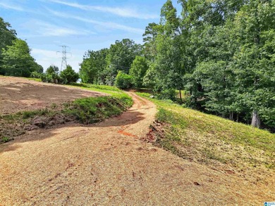 Discover your dream property on this stunning 2.16-acre lot with - photo 8