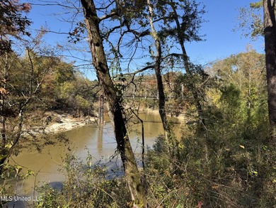 Just over 7 acres of private, undeveloped land in Hinds - photo 1