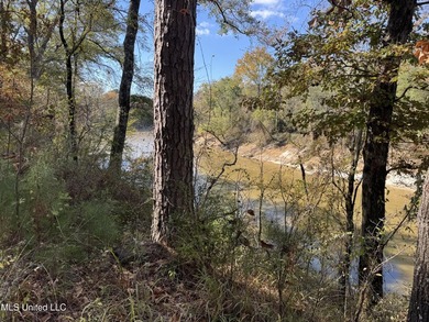 Just over 7 acres of private, undeveloped land in Hinds - photo 2