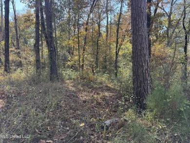 Just over 7 acres of private, undeveloped land in Hinds - photo 3