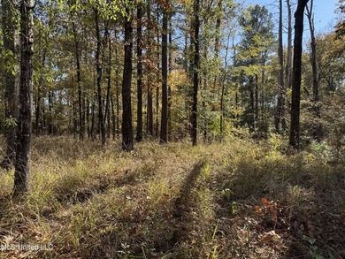 Just over 7 acres of private, undeveloped land in Hinds - photo 4