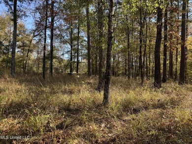 Just over 7 acres of private, undeveloped land in Hinds - photo 5