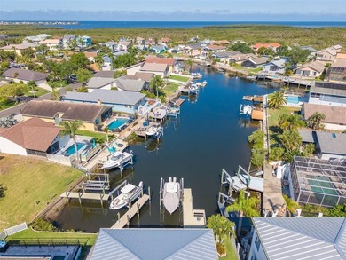 One of the highest lots in the Gulf Harbors communities that - photo 24