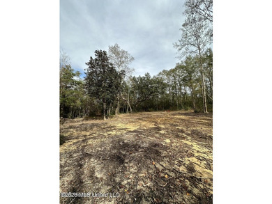 RARE FIND! Discover 3.2 beautiful acres tucked away in a highly - photo 4