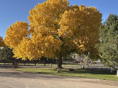 Discover one of the South Valley's most charming secrets: a one