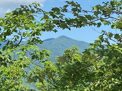 Lake Nantahala Lot For Sale in Andrews North Carolina