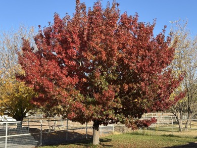 Discover one of the South Valley's most charming secrets: a one