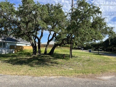 Discover the potential of this 40' x 64' residential lot located - photo 2